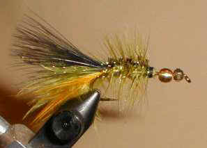 A Bead-Rattle Wooly Bugger