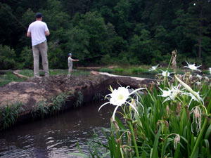 Spider lilies & fly fishers on the Flint...
